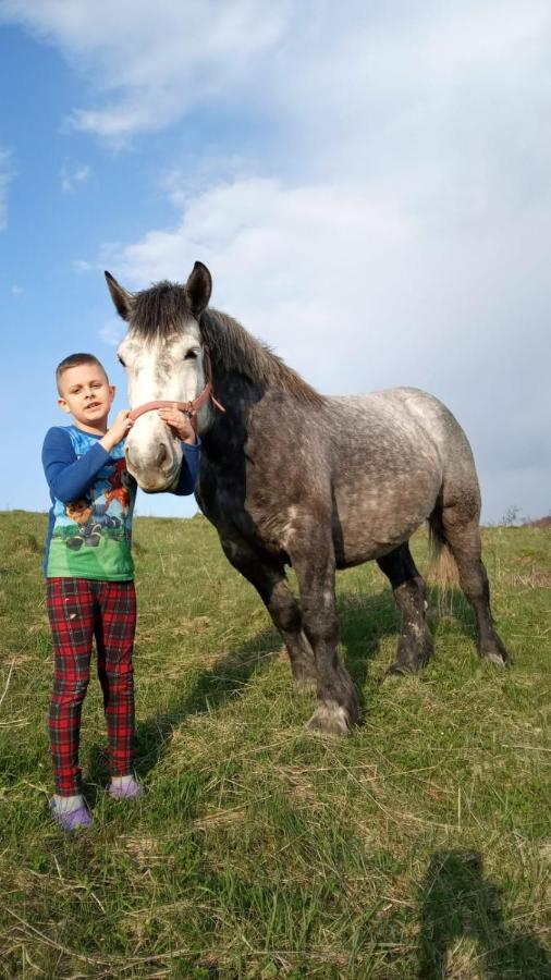 Domki W Bieszczadzkiej Dolinie Ustrzyki Dolne Exterior foto